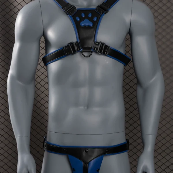Puppy Leather Set - Blue